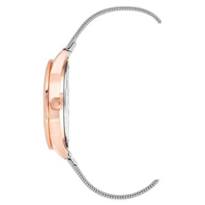 Silver Stainless Steel Stainless Steel Watch
