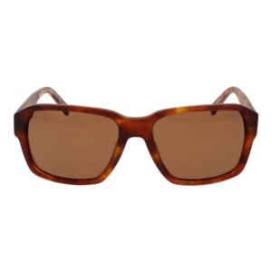 Brown Men Sunglasses