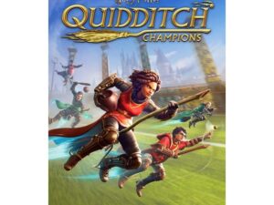 Warner Bros Videogioco Harry Potter Campioni Di Quidditch per PlayStation 4
