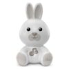 Luce notturna Chicco 00011456000000 FIRST DREAMS Coniglietto Dolce Not