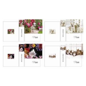 Album fotografico Picoglass 5005512 CUCCIOLI Assortito
