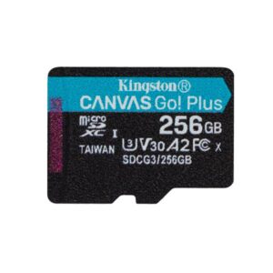 Scheda MicroSD XC Canvas Go! Plus 256 GB UHS-I di Classe 10 Velocità 170 MB / s in lettura + Adattatore SD