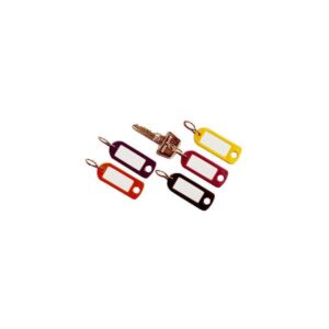 Durable Key-clip Assorted 6 pz