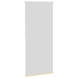 Tenda a Rullo Oscurante 80 x 230 cm Beige