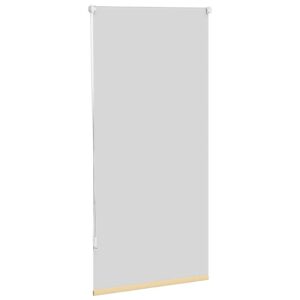 Tenda Oscurante a Rullo 60 x 120 cm Beige