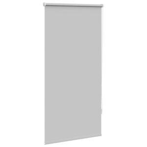 Tenda a rullo oscurante 60 x 120 cm Grigio
