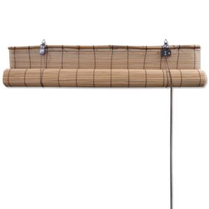 Tende a Rullo in Bambù 2 pz Marroni 120x220 cm