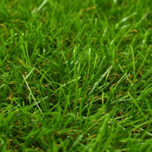 Erba Sintetica 1x10 m/30 mm Verde