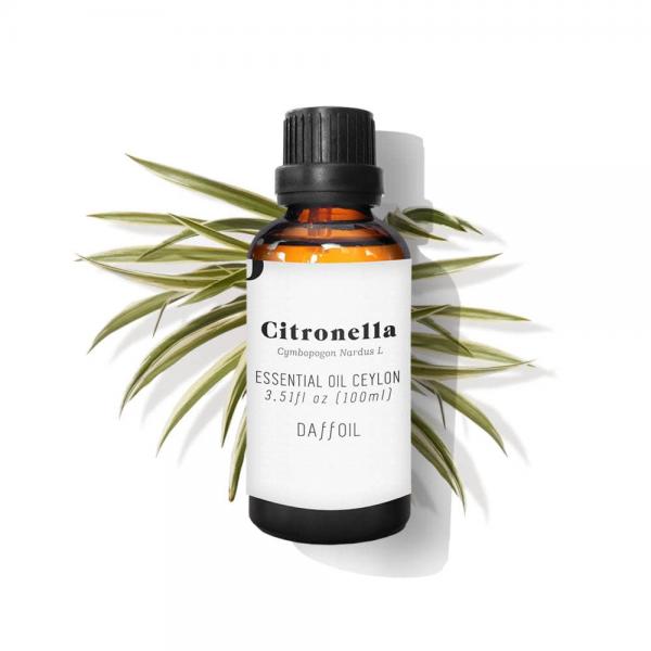 Daffoil Essential Oil Ceylon Citronella 100ml