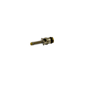 SET DI 10 VALVOLE PER RIF. 53599 - 6X19 MM