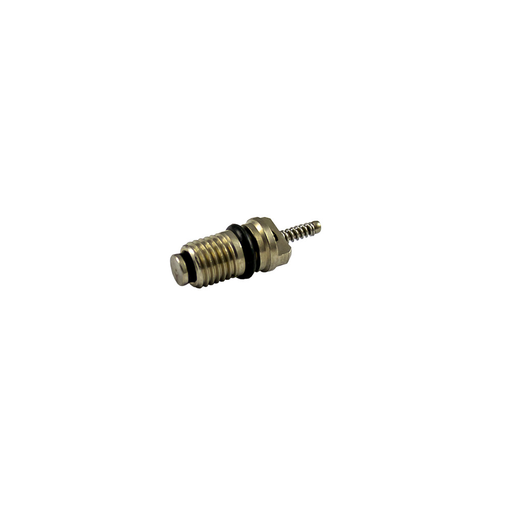 SET DI 10 VALVOLE PER RIF. 53599 - 7X20 MM R134A