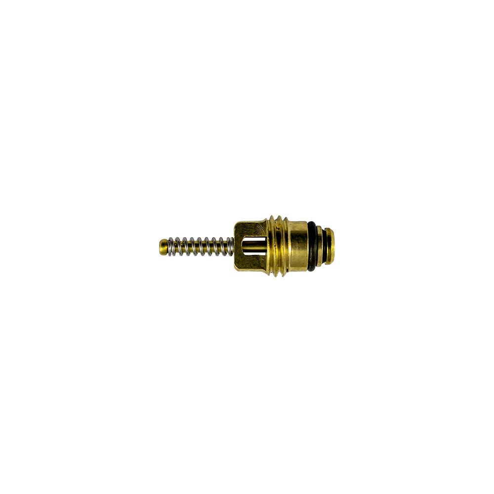 SET DI 10 VALVOLE PER RIF. 53599 - 6X22 MM