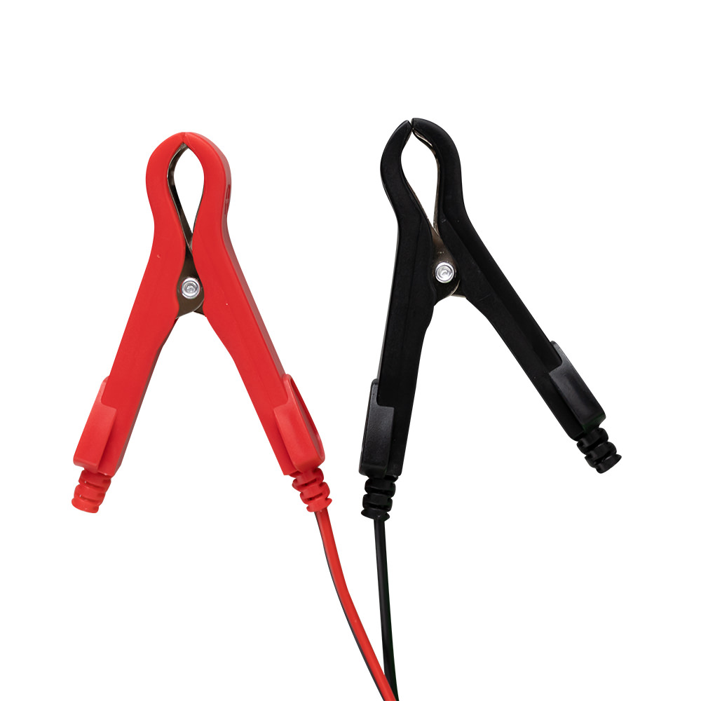 CARICA BATTERIA 12/24V