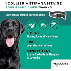 gd repellente collana. cane