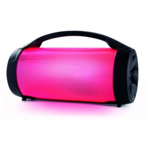 Altoparlante Bluetooth BIGBEN PARTYBTPRO - USB SD AUX IN - 38 CM + MIC WIRELESS