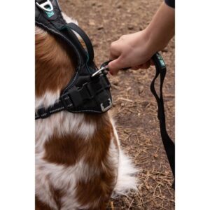 Pettorina per cani - SYMBIOZ - XS - Nera / Blu