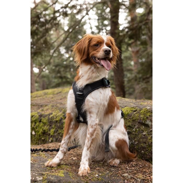 Pettorina per cani - SYMBIOZ - XL - Nera / Blu
