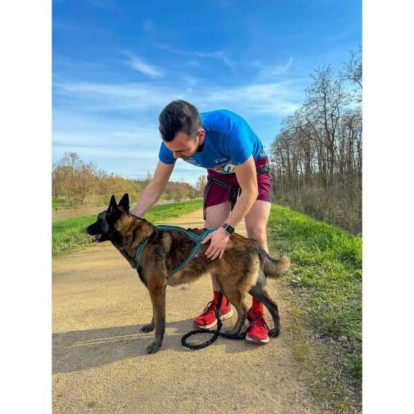 Imbracatura da trazione per cani - OLYMPIA - M - Tipo X-back - Blu