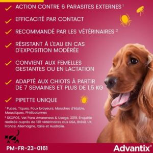 Pipette antiparassitarie ADVANTIX 6 - Per cani molto piccoli da 1,5 a 4 kg