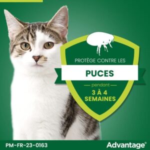 VANTAGGIO 80 - 4 pipette antiparassitarie - Per gatti e conigli da 4 kg e oltre