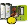 Localizzatore GPS - KIPPY - EVO - Giallo Limone