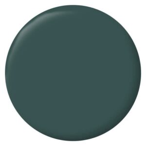 RIPOLIN Vernice color velluto per pareti, radiatori in legno - Verde militare