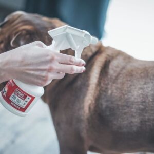 Spray 250 ml antiparassitaria