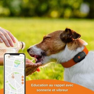 Tracker GPS per cani - Weenect XS (Black Edition 2023)