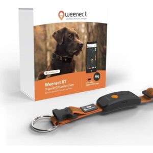 Collare GPS per cani - WEENECT Dog XT - Antenna XL - Impermeabile - Collare Julius-K9 - Funziona con abbonamento - Arancione