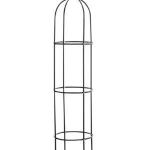 Rosensäule Romantika