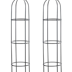 2er Set Rosensäule Romantika