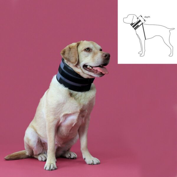 Collare Cervicale per Cani KVP Nero (18-53 cm)