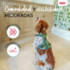 Imbracatura per Cani Company of Animals Verde XL 50-78 cm