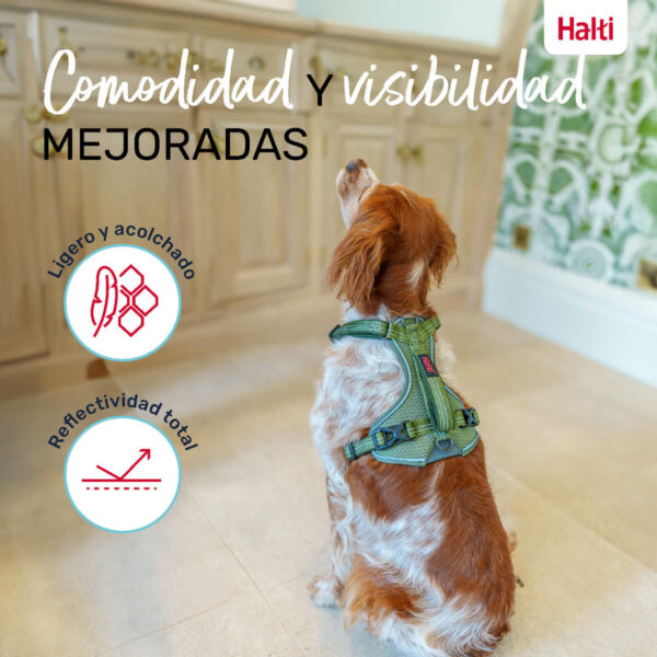 Imbracatura per Cani Company of Animals Verde XL 50-78 cm