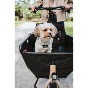 Imbracatura per Cani Hunter DIVO UP Beige XS