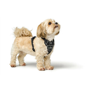 Imbracatura per Cani Hunter DIVO UP Nero L/XL