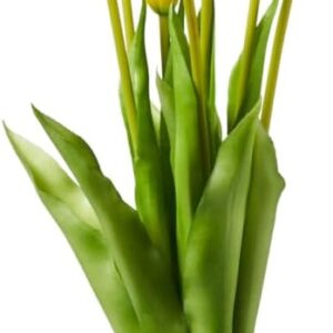 HENRIETTE BOUQUET 7 TULIPANI GIALLI