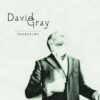 Foundling [Audio CD] Gray,David