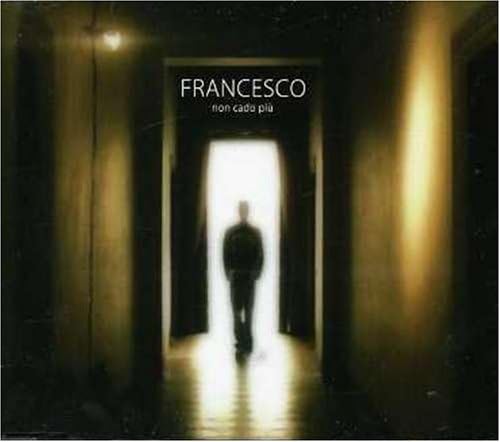 Non Cado Piu' [Audio CD] Francesco (DJ)