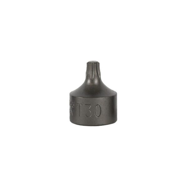 3/8"/0,95CM T25 PUNTA TORX CORTA (RIF.54546)