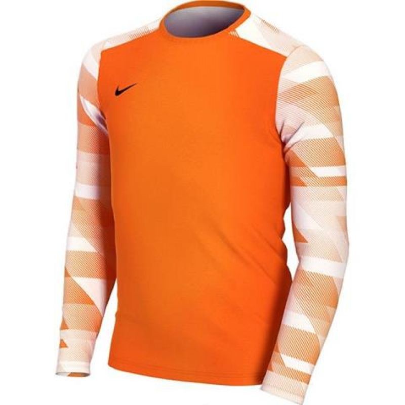 Maglietta Nike Dry Park IV JSY LS GK Jr CJ6072-819