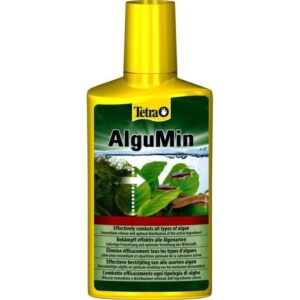 alghe Acquario