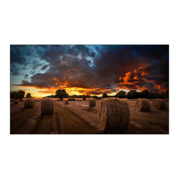 Samsung monitor samsung vm55b-u per videowall 55