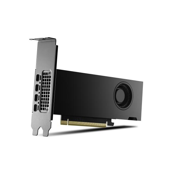 PNY NVIDIA RTX 2000 Ada Generation - schede grafiche