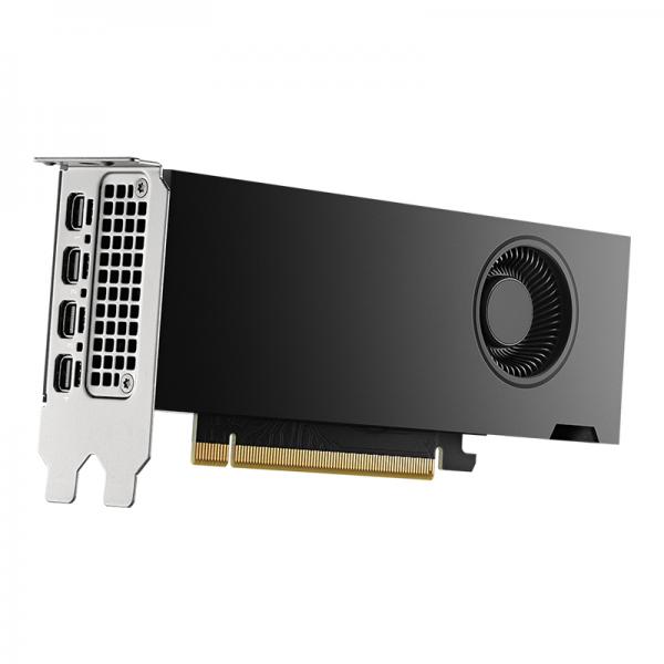 PNY NVIDIA RTX 2000 Ada Generation - schede grafiche