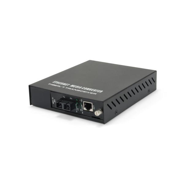 LevelOne FVM-1101 - Convertitore multimediale - LAN 100 Mb
