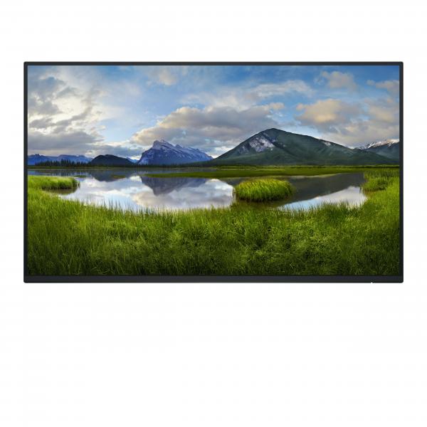 Dell P2425H - Senza supporto - Monitor LED - 61 cm (24")