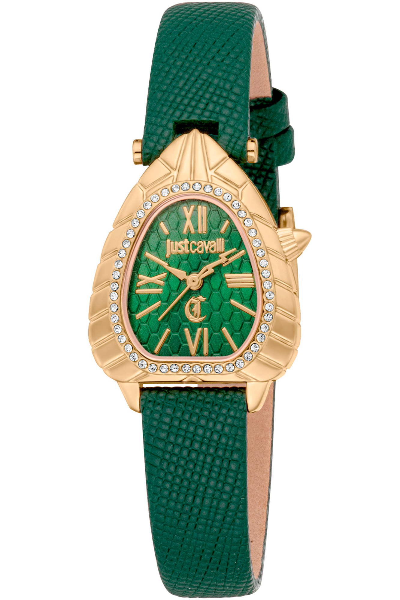 Just Cavalli JC1L366L Donna Verde 150515