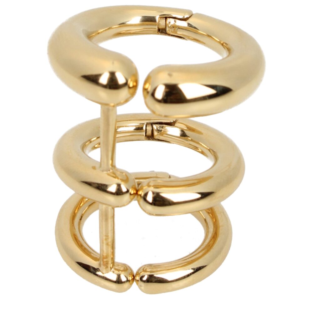 Gold Metal Earrings
