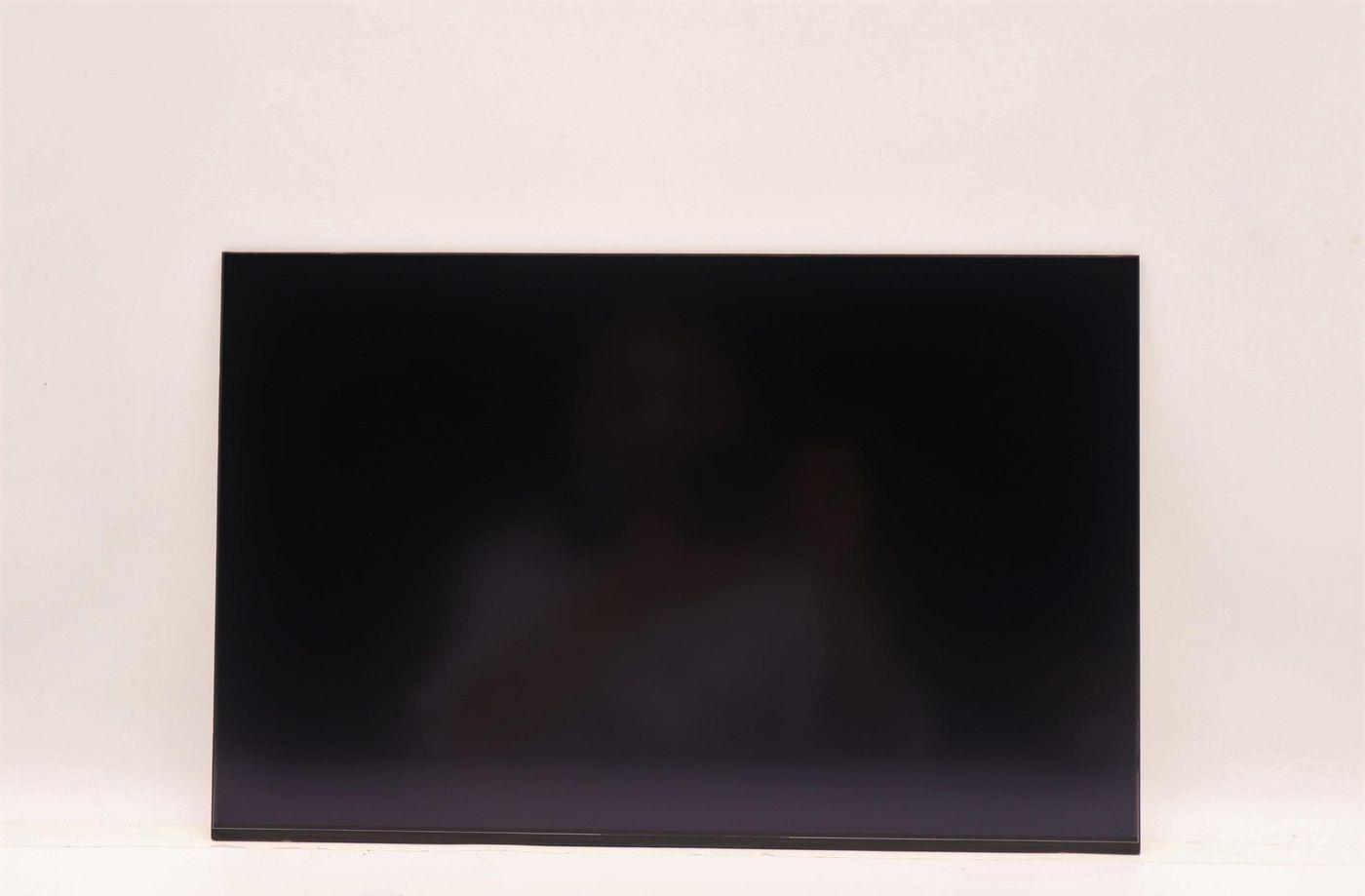 Lenovo DISPLAY AUO 16.0 WUXGA IPS AG (5D10V82410)